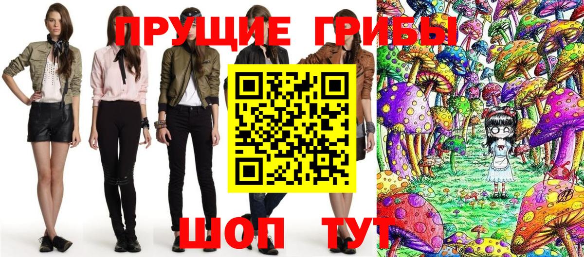 Псилоцибиновые грибы Psilocybe  Вход с VPN  Кизляр  Галлюциногенные грибы прущие грибы 