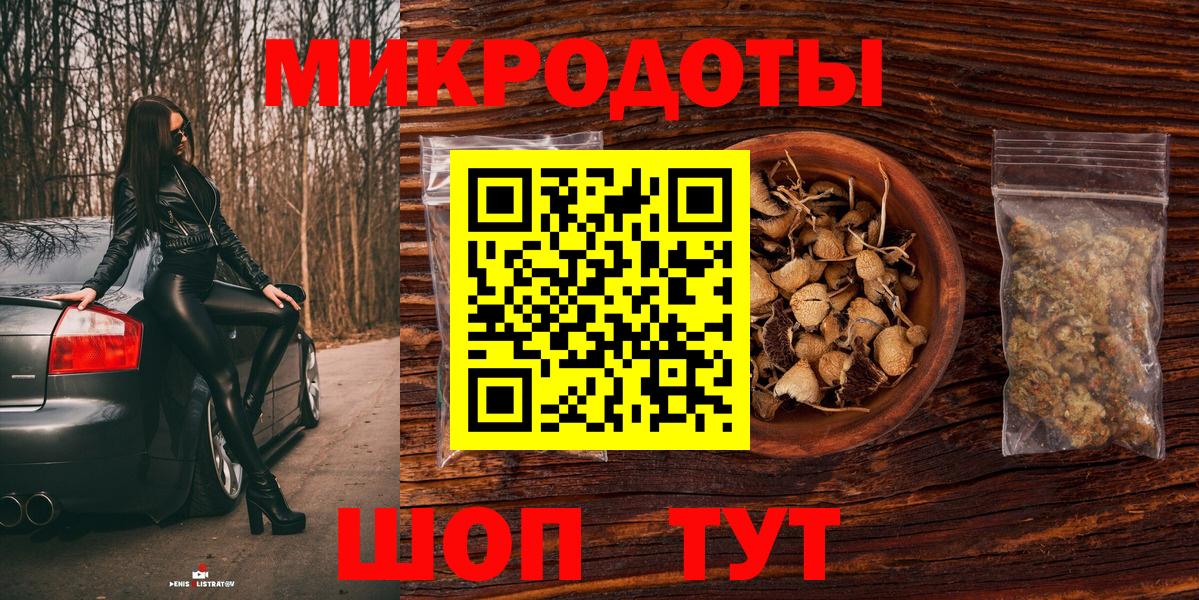 Псилоцибиновые грибы Psilocybe Кизляр